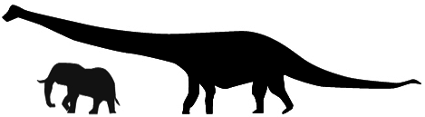 SVG D3 - 定義比例 ( scale.linear() )