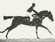 完整解析 CSS 動畫 ( CSS Animation )